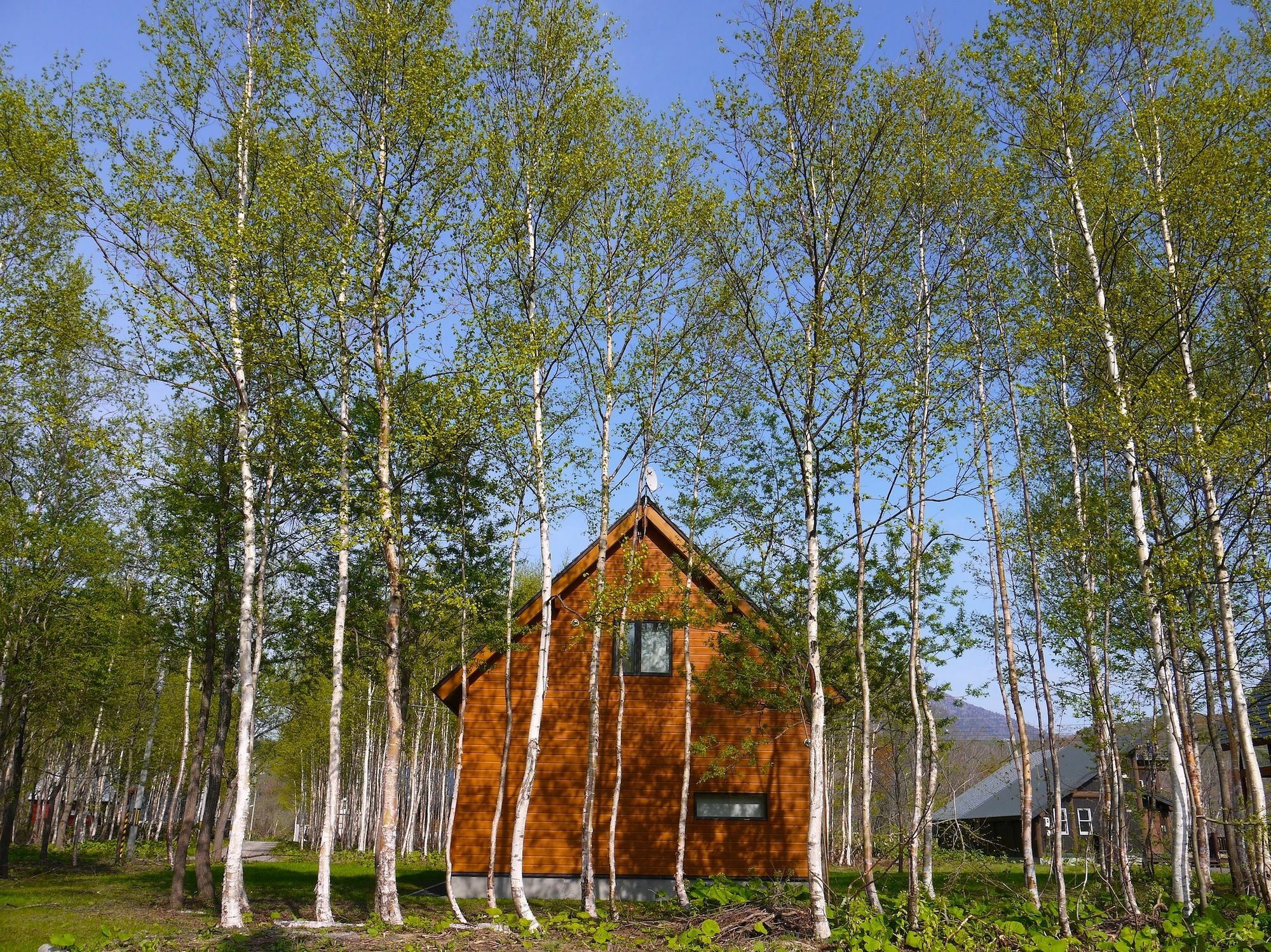 Country Resort Niseko Куттян Экстерьер фото
